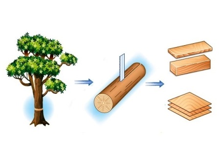 Produzione del legno  tecnologiaduepuntozero legno-produzione