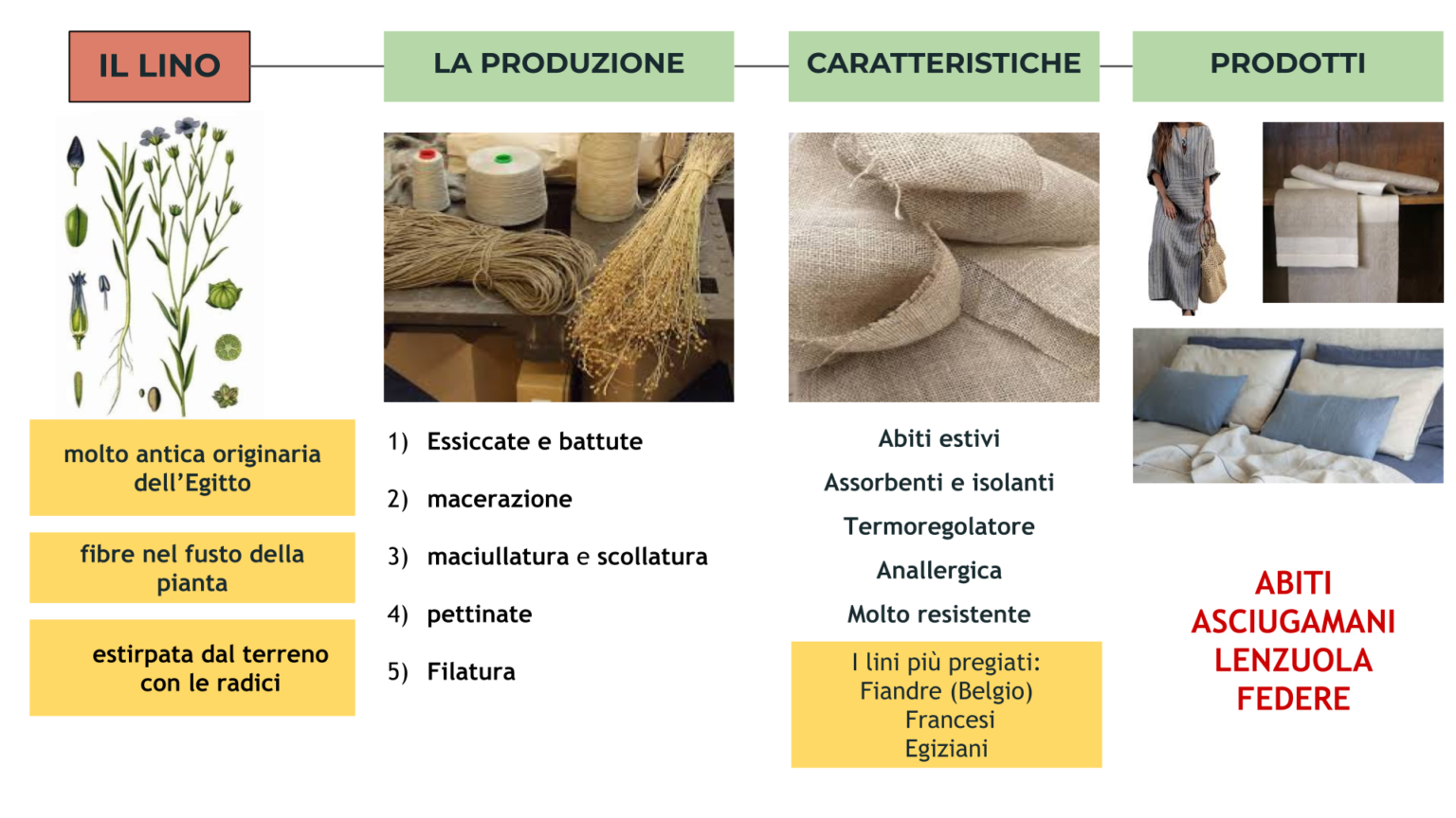 Fibre Vegetali Nelle Feci Immagini Fibre tessili vegetali - videolezione - tecnologiaduepuntozero